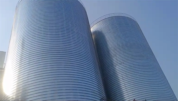 雄关区2座混凝土高架卷板仓